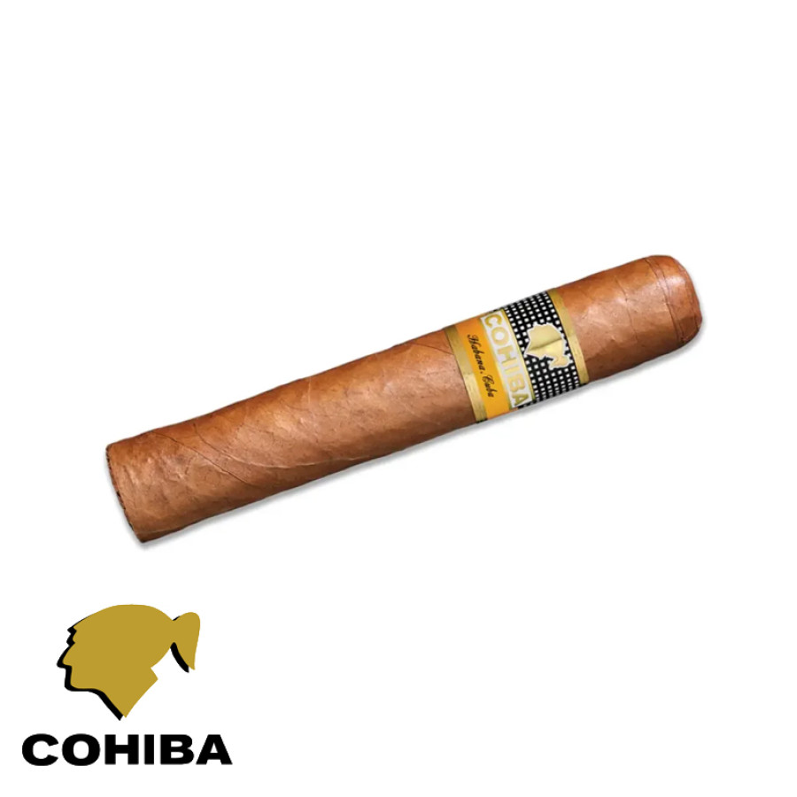 charuto cohiba robustos em campo grande, mato grosso do sul