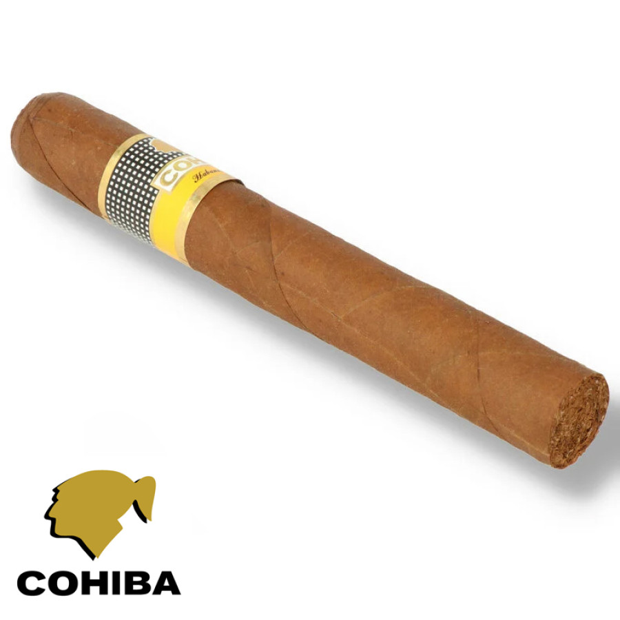 Charuto Cohiba Siglo VI campo grande