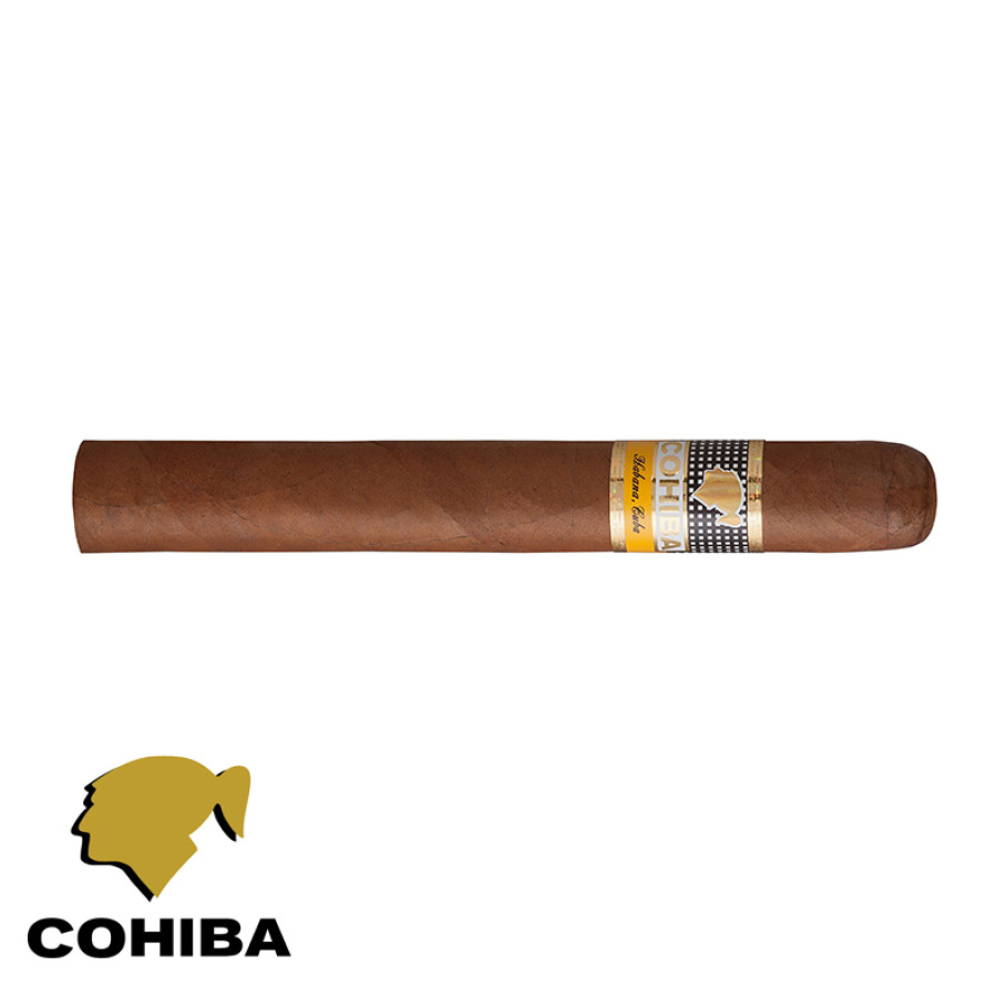 charuto cohiba siglo IV campo grande