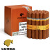 Charuto Cohiba Siglo VI campo grande