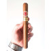 charuto romeo y julieta churchill em campo grande, mato grosso do sul
